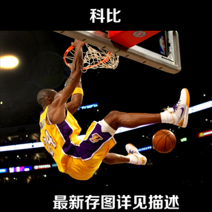 不动产证编号在什么位置